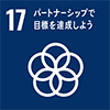17: 通过合作伙伴实现目标
